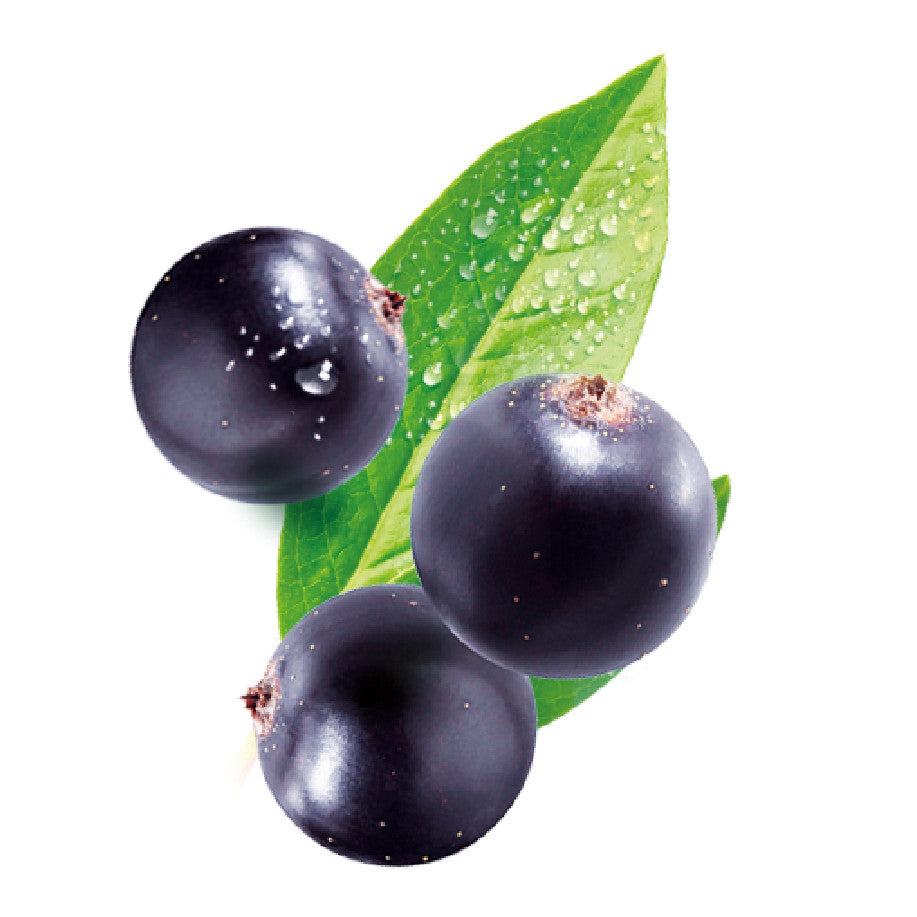 Cassis